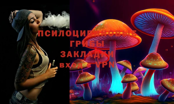 PSILOCYBIN Абдулино