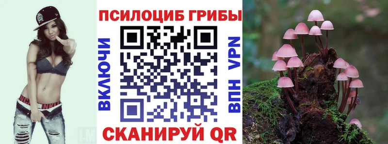 Галлюциногенные грибы Magic Shrooms  купить наркоту  Соликамск 