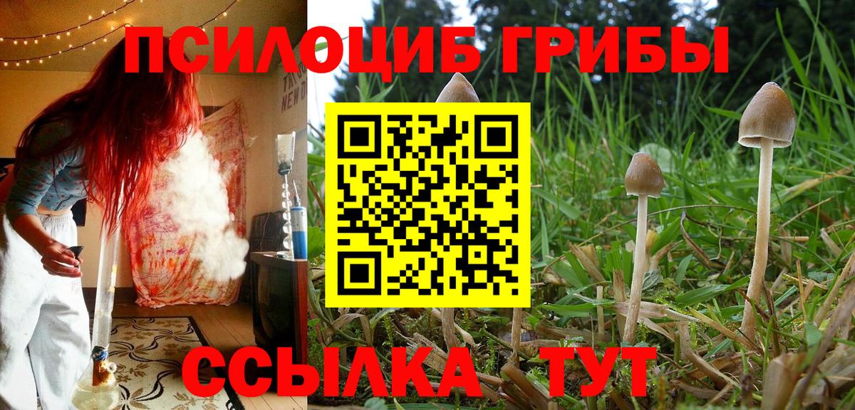 Соликамск  Галлюциногенные грибы GOLDEN TEACHER  Вход с VPN 
