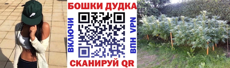 Конопля марихуана  Соликамск 